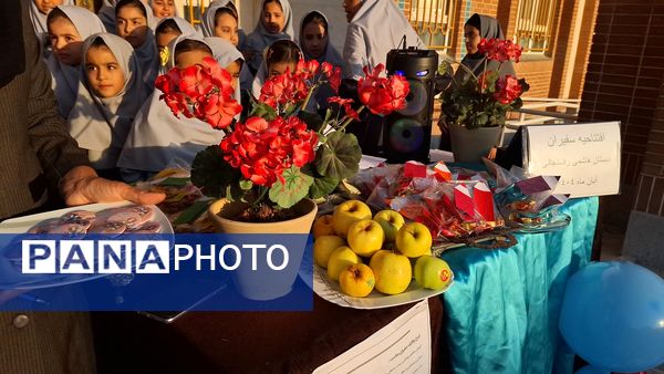 افتتاحیه سفیران سلامت در دبستان هاشمی رفسنجانی