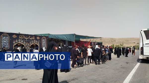 پیاده روی زائران امام رضا(ع) از ملک آباد تا مشهد 