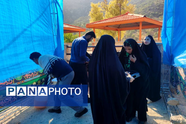 پذیرایی موکب‌ها از جاماندگان اربعین حسینی در دیشموک