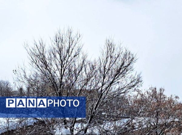 برف زمستانی، مهمان شهرستان کیار