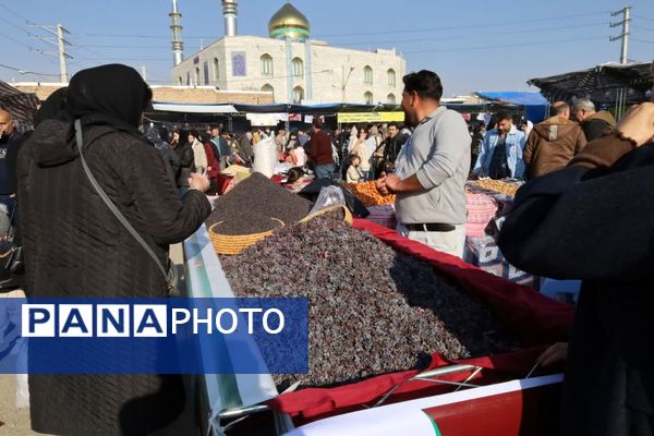 دومین جشنواره زرشک سیاه در روستای تیل شهرستان شبستر
