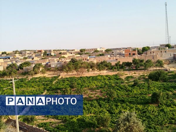 گزکوه، قطب انگور خراسان شمالی 