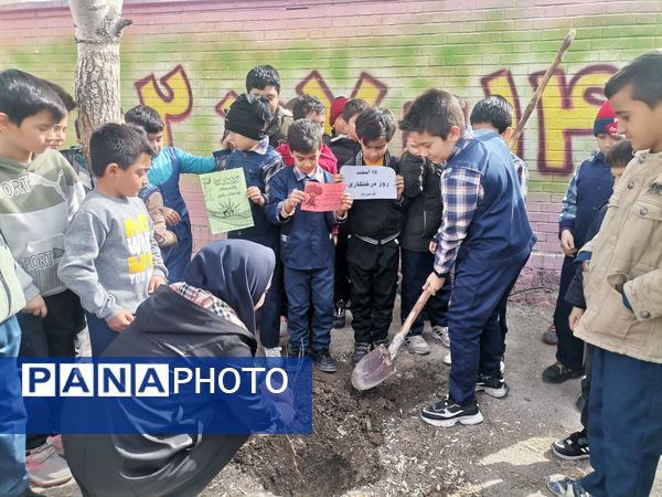 کاشت نهال در دبستان پسرانه مبین شیروان