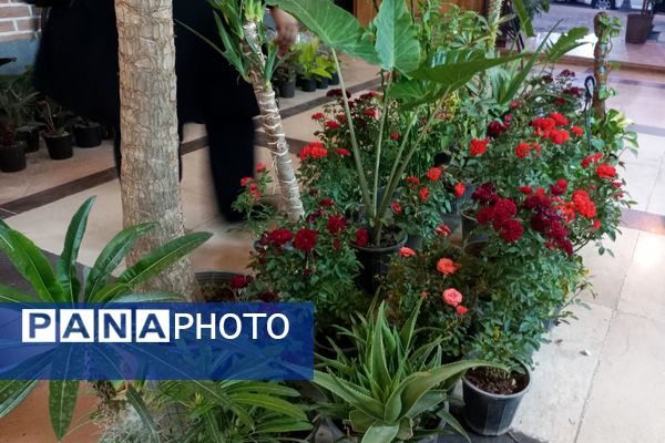 نمایشگاه گل و گیاه در نمایشگاه دائمی قرچک