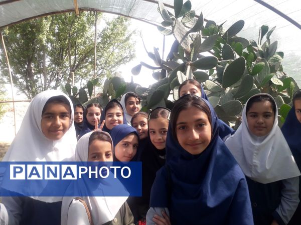 بازدید دانش‌آموزان مدرسه شهید خاقانی از گلخانه پیشه‌وران شیروان