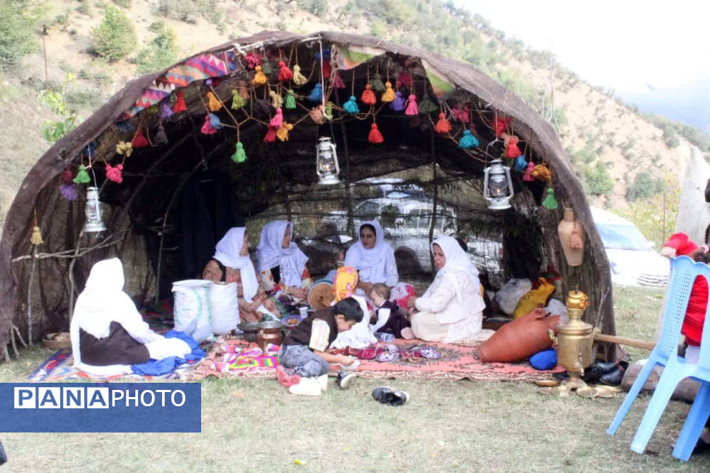 جشن شکر گزاری برداشت گردو 