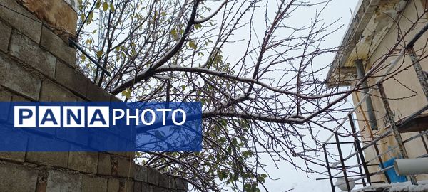 برف پاییزی در کوهرنگ