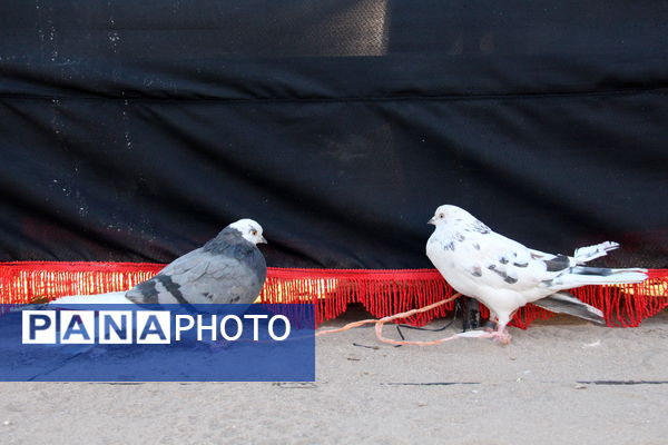 دسته عزای شهادت حضرت فاطمه الزهرا (س) در امامشهر یزد