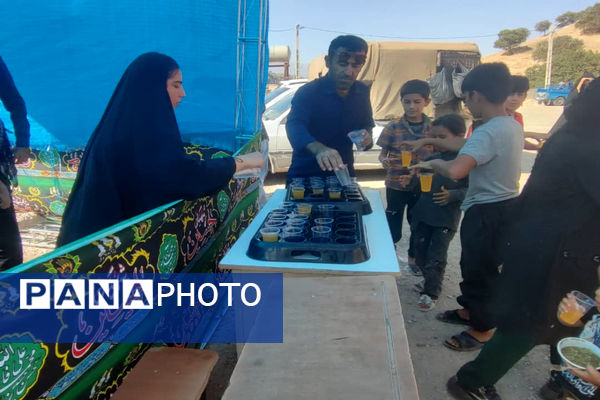 پذیرایی موکب‌ها از جاماندگان اربعین حسینی در دیشموک