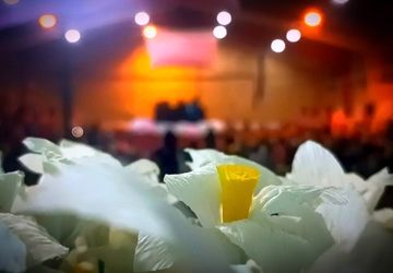 آسمان مکه، گلباران از قدوم دختر خورشید است