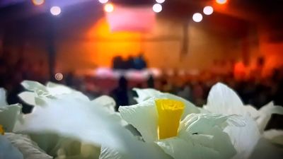 آسمان مکه، گلباران از قدوم دختر خورشید است