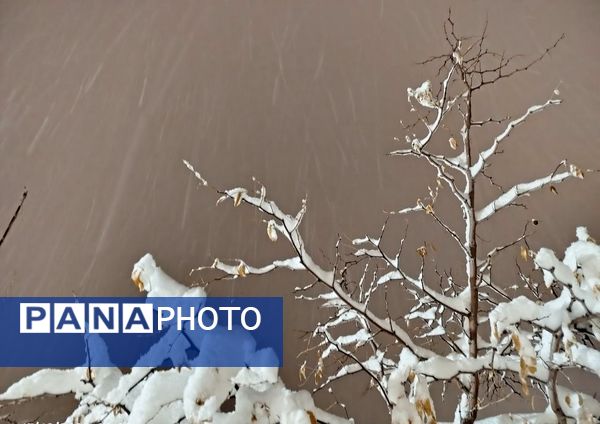 جلگه رخ سفید پوش شد 