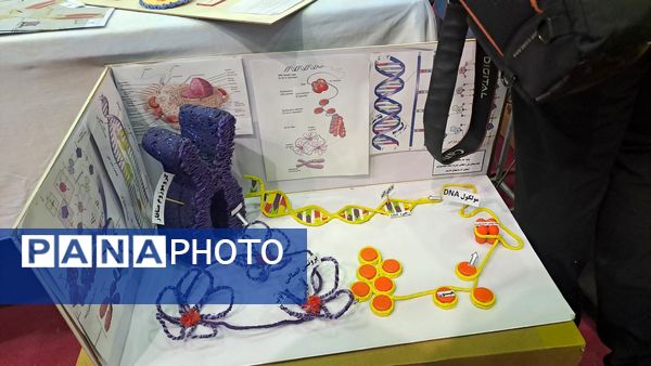 پنجمین دوره جشنواره علمی پژوهشی پژوهش‌سراهای دانش‌آموزی کشور 