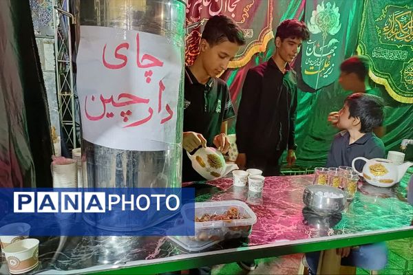 عزاداری و پذیرایی از عزاداران امام رضا (ع) در موکب الرقیه (س)