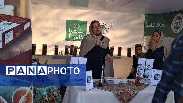 شکوفایی طعم و فرهنگ در سامان؛ دومین جشنواره بادام و گردو 