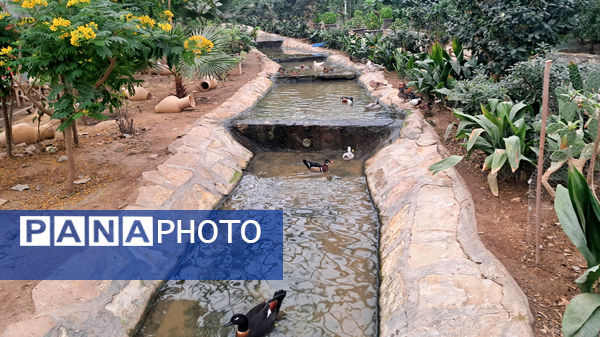 باغ پرندگان قم: جاذبه‌ای بی‌نظیر در قلب کشور