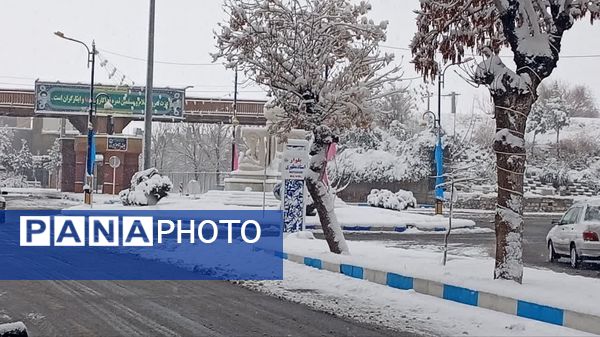 شازند سفیدپوش شد