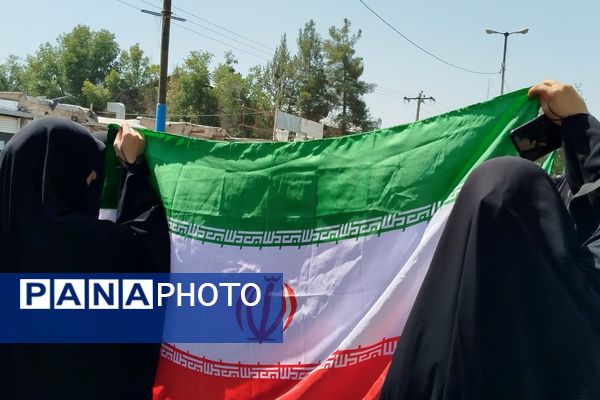 شکوه عزاداران رضوی در لردگان