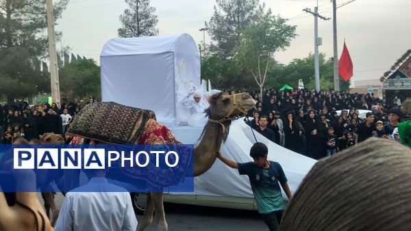 حرکت دسته بنی اسد در روستای فدافن