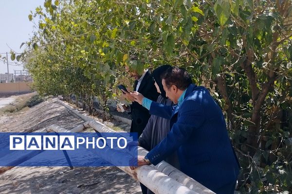 بازدید از پروژه‌های ورزشی ناحیه ۲ بهارستان