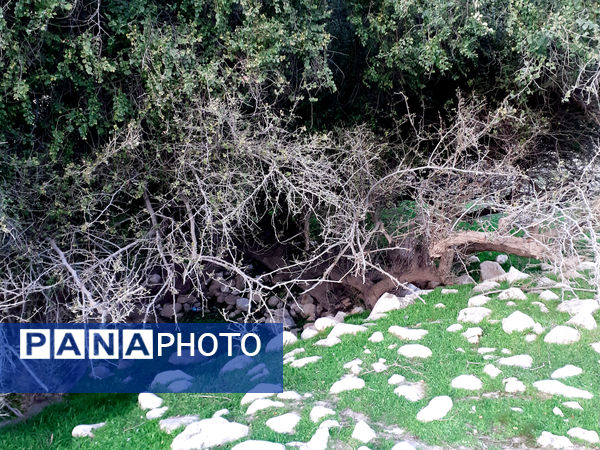 طبیعت بسیار خاص منطقه زیودار شهرستان معمولان