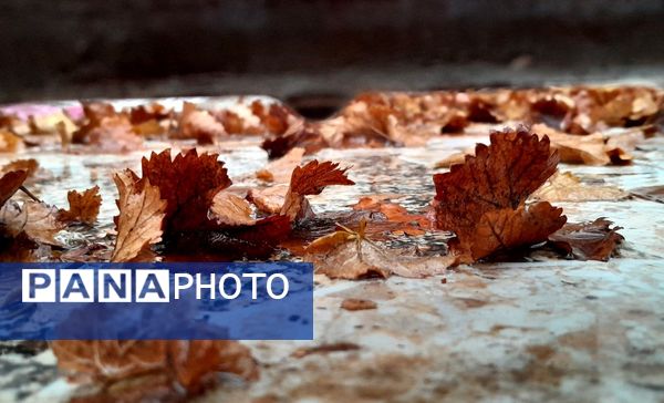 بازگشت باران به میانکوه پس از ماه‌ها خشکسالی