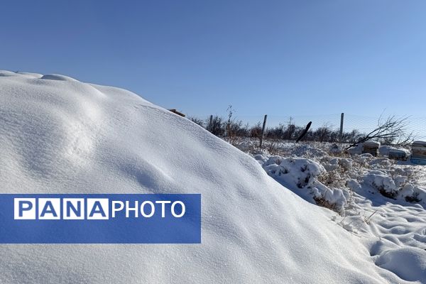 منظره زیبای برف پاییزی در باغات شهرستان نیشابور 