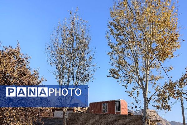 تصاویر زیبا از پاییز رنگارنگ در شهر دار السادات بار نیشابور 