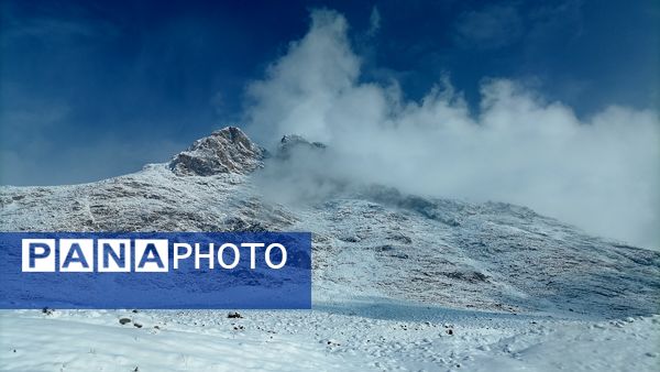 بروجن در پوشش سفیدی برف