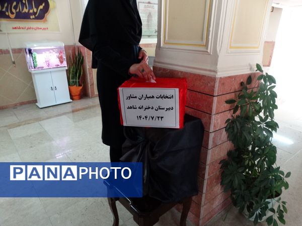 انتخابات همیار مشاور 