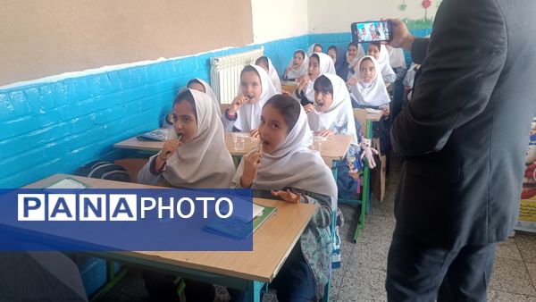 پویش مسواک خشک در مدرسه ضحی ۱ شهرستان شیروان