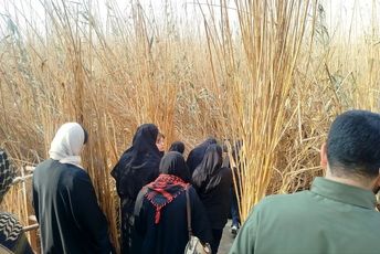 رسیدن دختران پیشوا به خاک عاشقی؛ آغاز روایت‌ها در جنوب