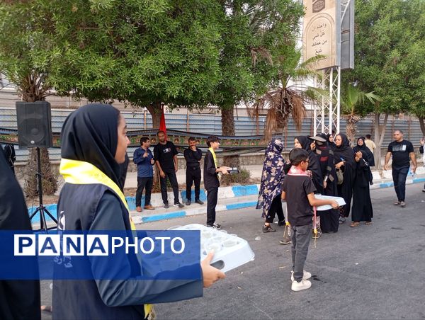جاماندگان اربعین سفر به کربلا با دل و جان 