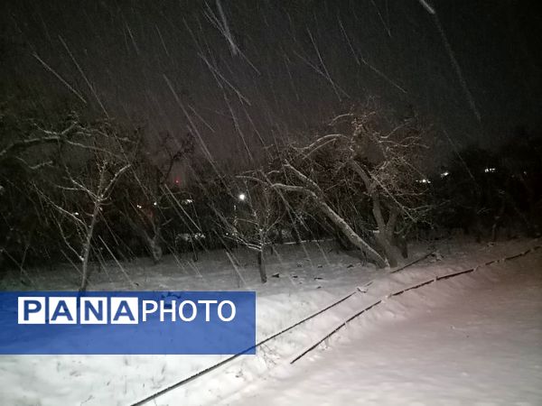 گذری بر بارش برف زمستانی در شهر بار