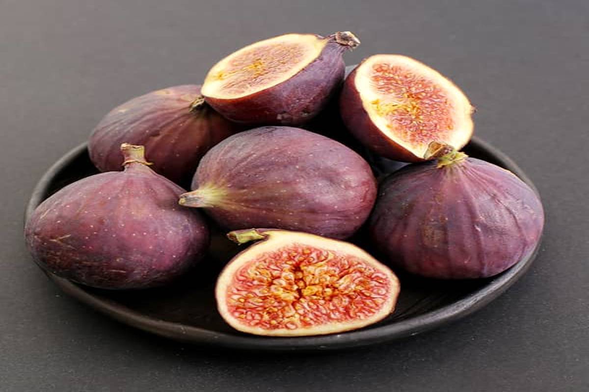 انجیر؛ میوهای شیرین و خوشمزه با تاریخچهای غنی