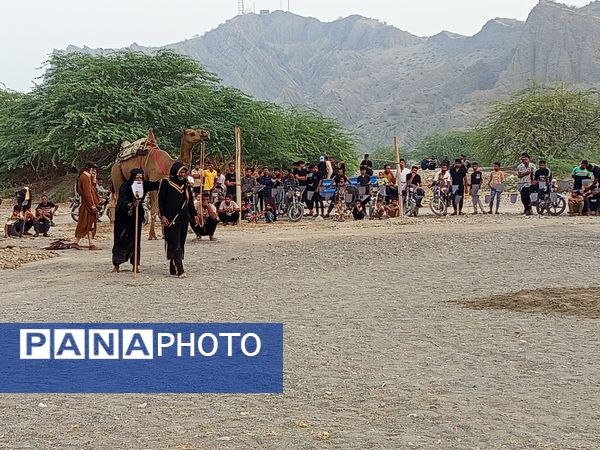 آیین باشکوه کاروان شام تا کربلا در میناب