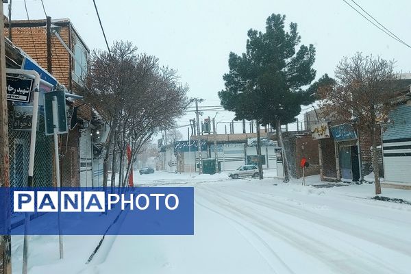 برف و بارانی همراه با شادی در شهرستان زاوه