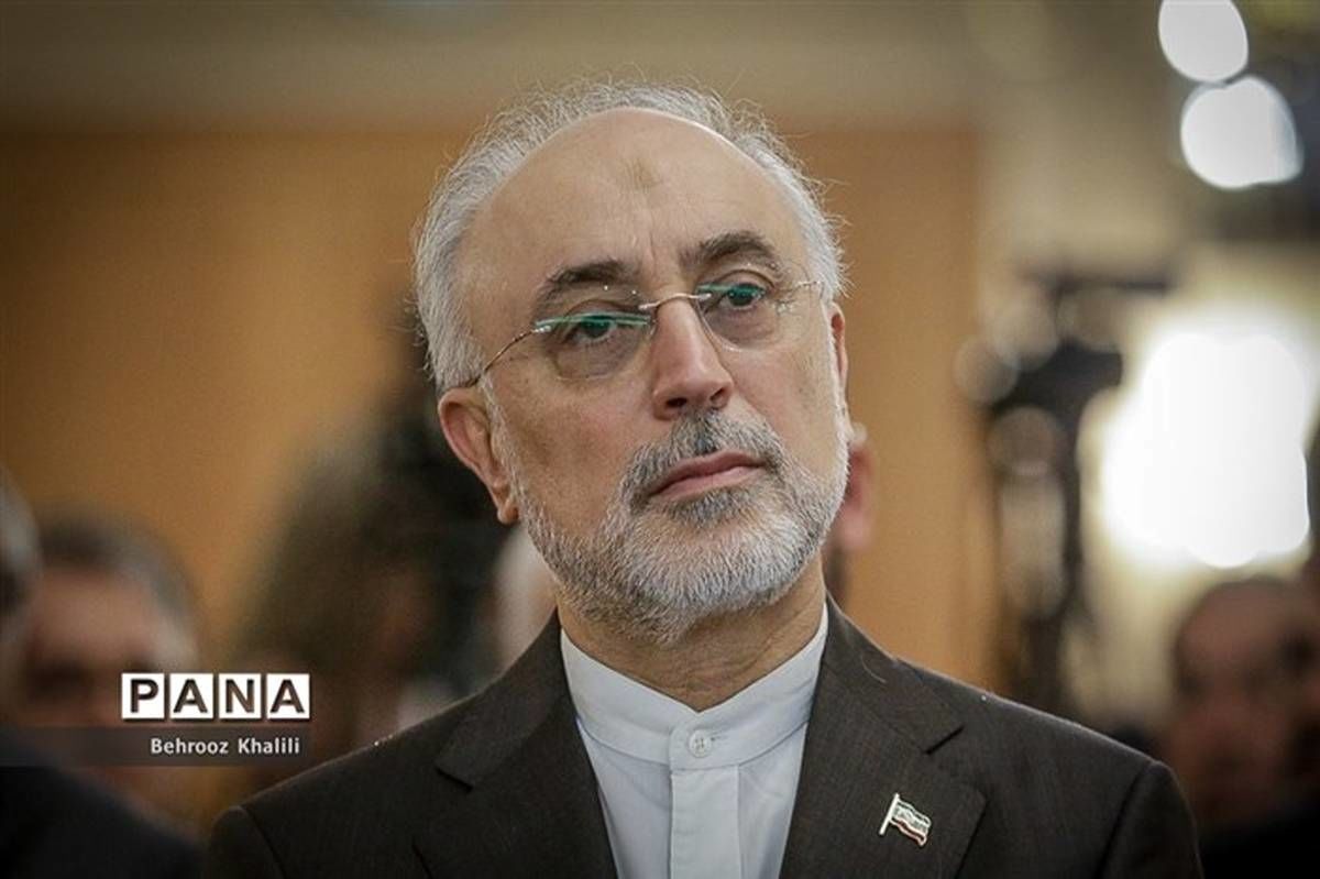 صالحی: هرگونه چشم طمع به آب و خاک ایران، محکوم به شکست است