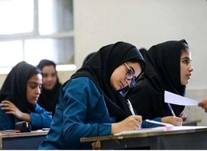 فراگیری زبان و ادبیات فارسی موجب ارتقای هوش کلامی و فرهنگی افراد می‌شود