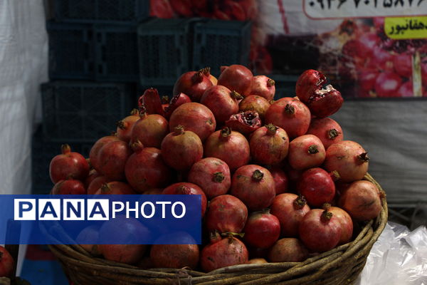 نمایشگاه شب یلدا در باغ دولت‌آباد یزد