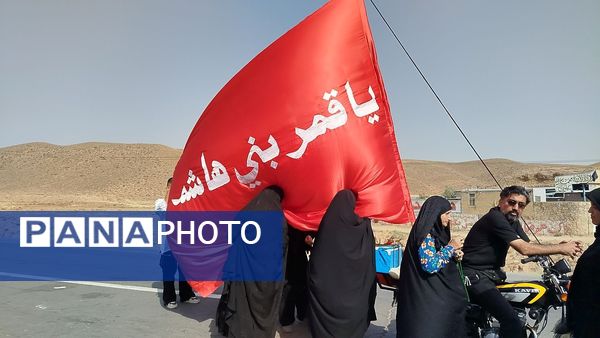 پیاده روی زائران امام رضا(ع) از ملک آباد تا مشهد 