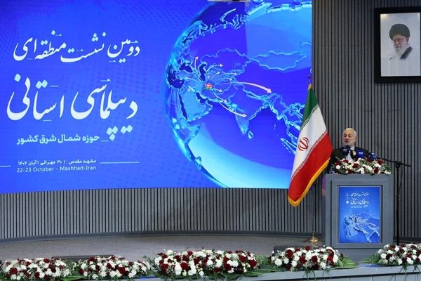 دیپلماسی استانی، ابزار هوشمند برای پیشبرد سیاست همسایگی است