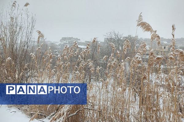 یک قدم مانده به زمستان طبیعت شهر بار کاملاً زمستانی شد