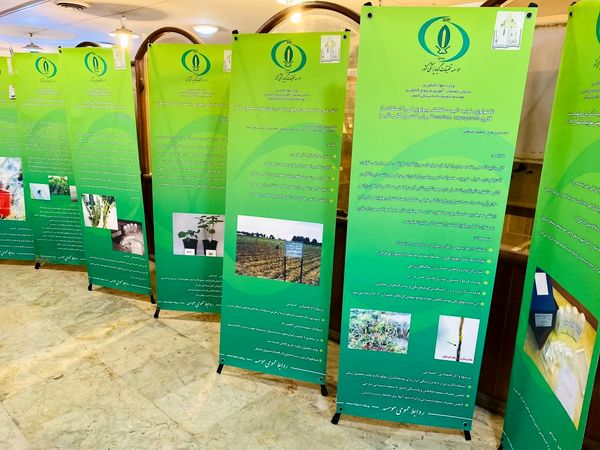 دانش آموزان خبرنگار، قهرمانان کشف دنیای گیاهان