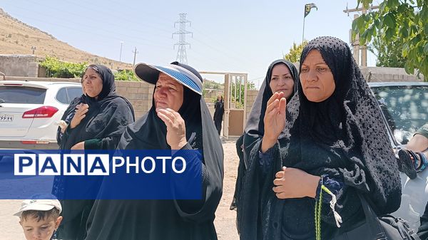 مراسم عزاداری سالروز شهادت امام رضا(ع) در شهرستان مارگون