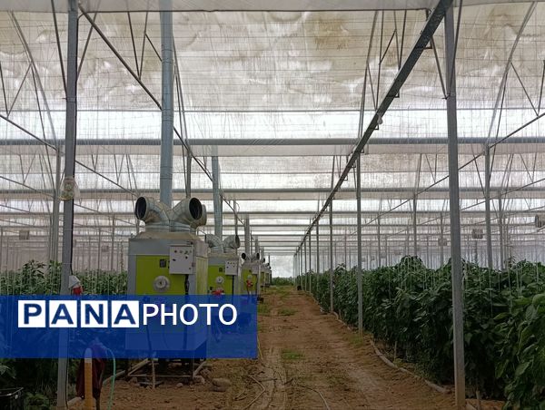 فاز دوم مجتمع گلخانه‌ای لردگان، آغاز فصل جدیدی در کشاورزی پایدار