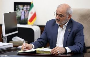 حاجی میرزایی: «المپیاد بین المللی ترکیبیات» عرصه‌ای برای دیپلماسی علمی است