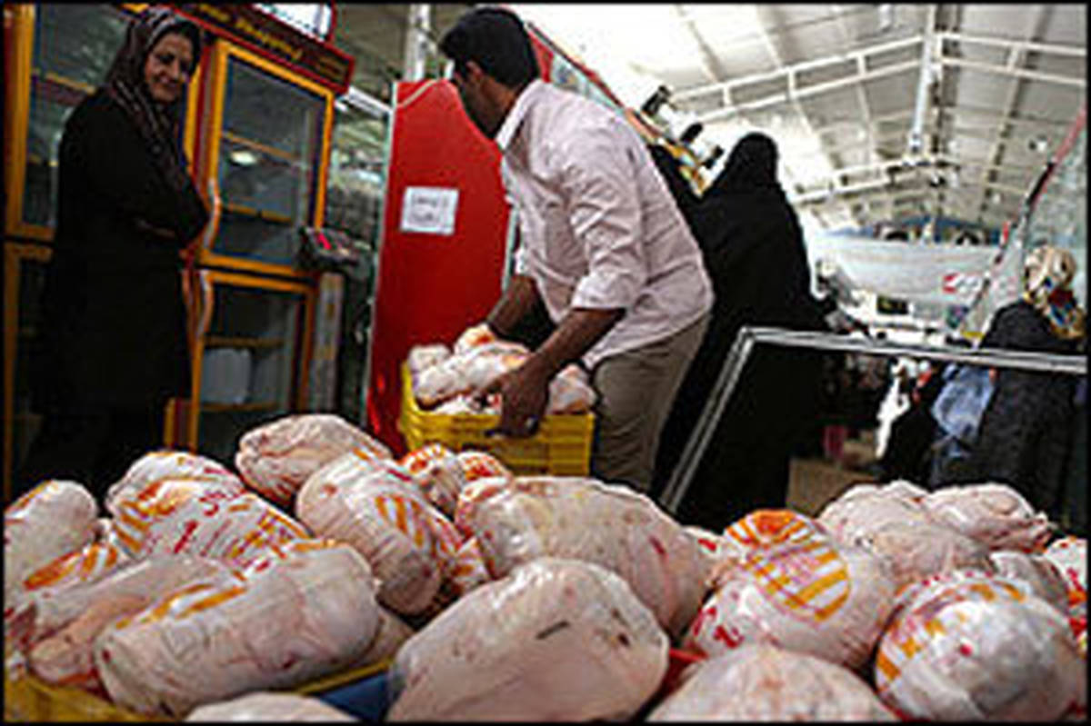 اعلام نرخ رسمی مرغ توسط ستاد تنظیم بازار در هفته جاری