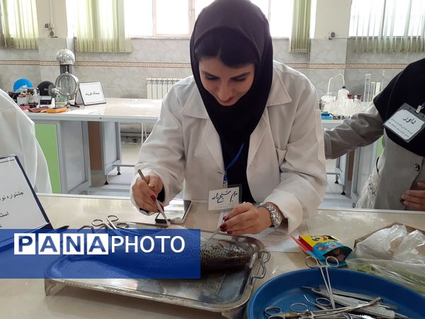 برگزاری مرحله استانی جشنواره نوآوری در بجنورد