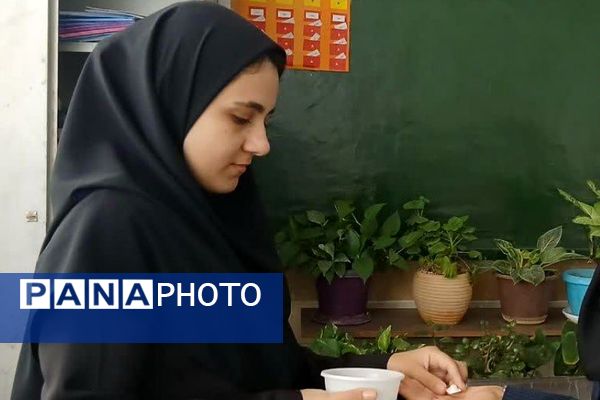 افتتاحیه طرح سفیران سلامت فیروزکوه همراه با اهدای کارت و توزیع مکمل